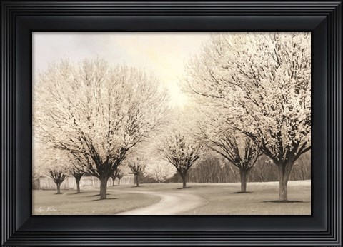 Framed In Full Bloom Print
