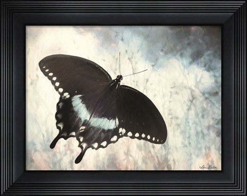Framed Teal Butterfly I Print