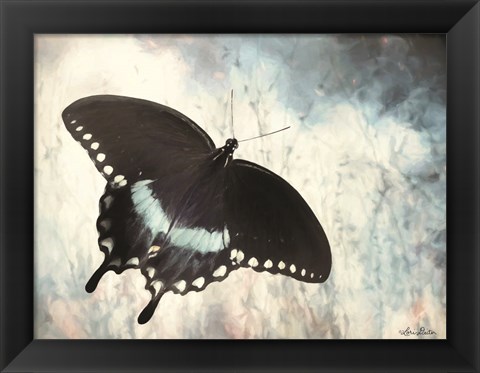 Framed Teal Butterfly I Print