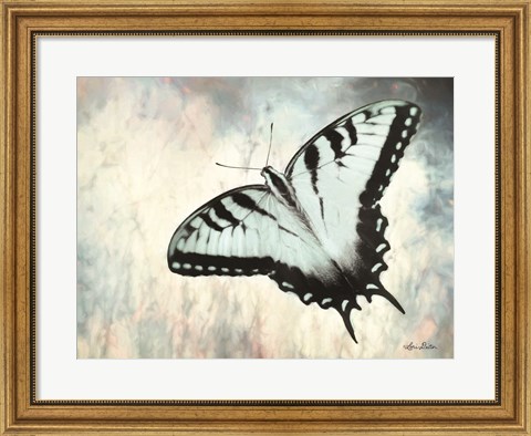 Framed Teal Butterfly II Print