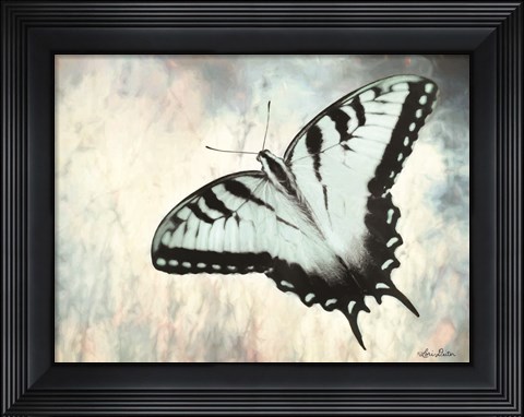 Framed Teal Butterfly II Print