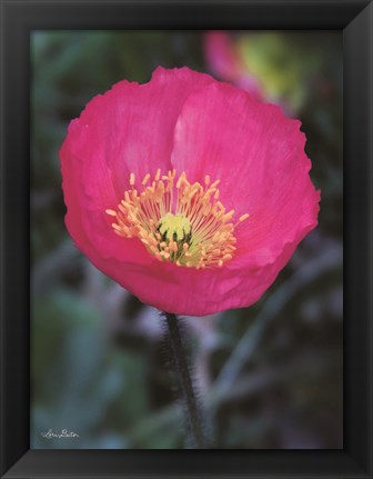 Framed Floral Pop I Print