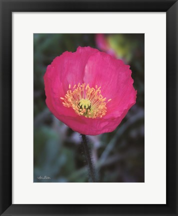 Framed Floral Pop I Print