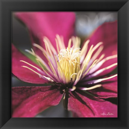 Framed Floral Pop II Print