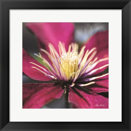 Framed Floral Pop II Print