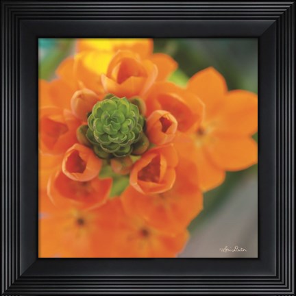 Framed Floral Pop IV Print