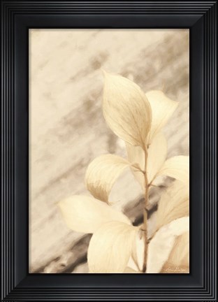 Framed Golden Leaves Print