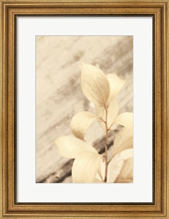 Framed Golden Leaves Print