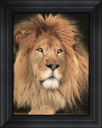 Framed King of the Jungle Print
