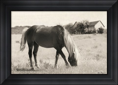 Framed Summer Grazing Print