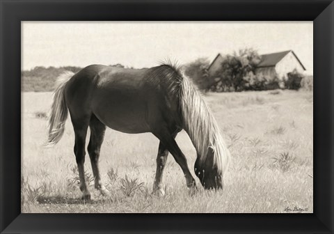 Framed Summer Grazing Print