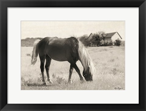 Framed Summer Grazing Print