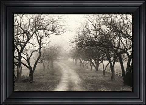 Framed Foggy Lane Print