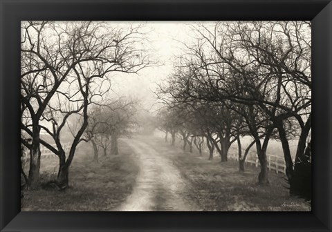 Framed Foggy Lane Print