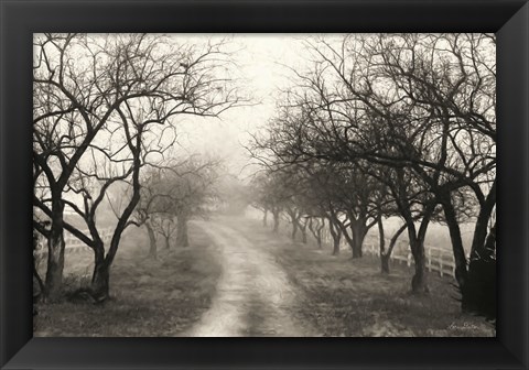 Framed Foggy Lane Print