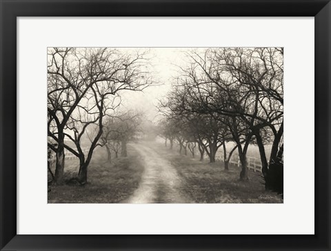 Framed Foggy Lane Print