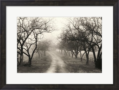 Framed Foggy Lane Print