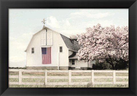 Framed Brownsville Patriot Print