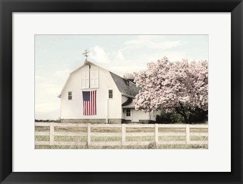 Framed Brownsville Patriot Print