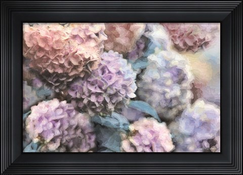 Framed Hydrangeas Abstract Print