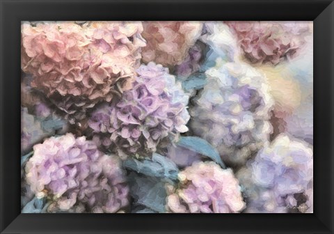 Framed Hydrangeas Abstract Print