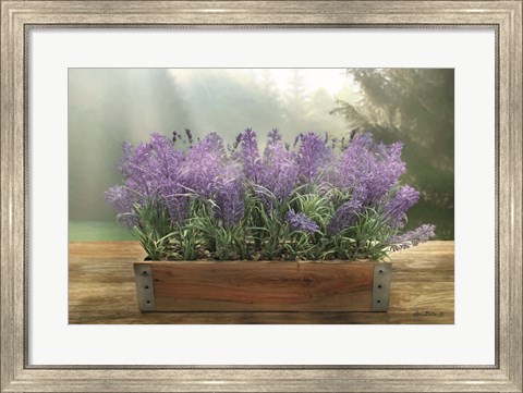 Framed Lavender Planter Print