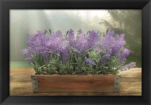 Framed Lavender Planter Print