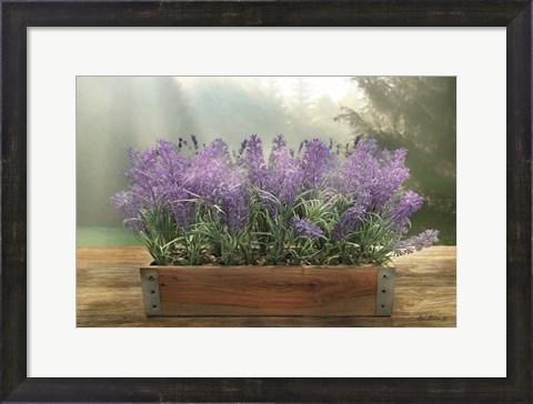 Framed Lavender Planter Print