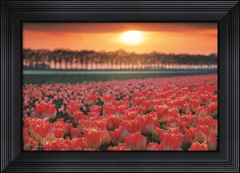Framed It&#39;s That Time of Year Print