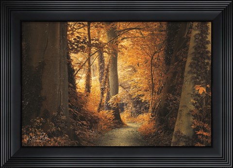 Framed Path to the Light Print