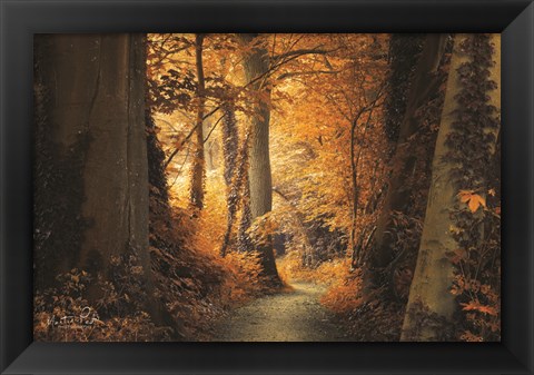 Framed Path to the Light Print