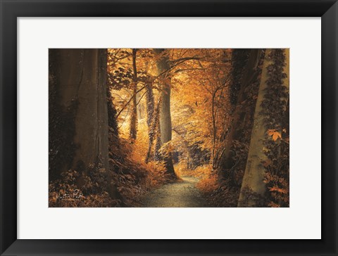 Framed Path to the Light Print