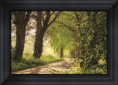Framed Lente in Twente Print