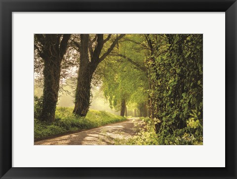 Framed Lente in Twente Print