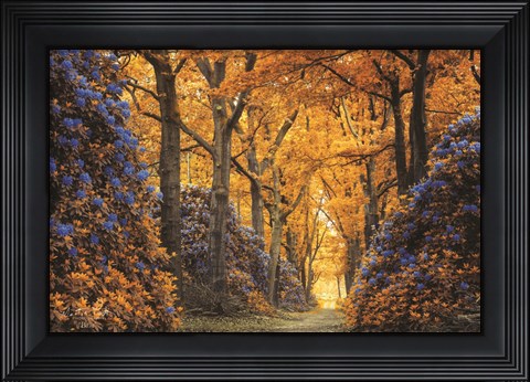 Framed Blue Print