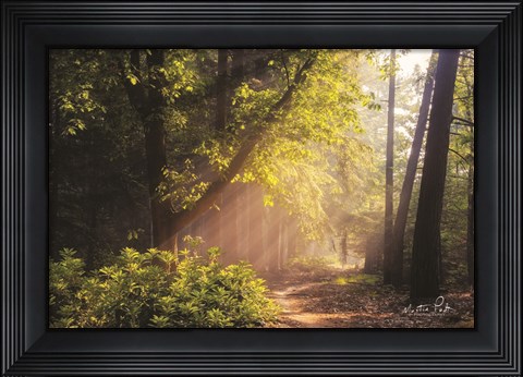 Framed Sunny Trail Print