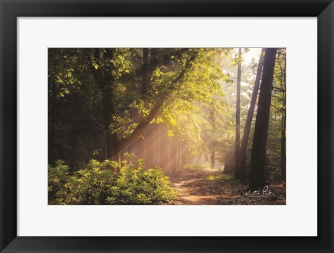 Framed Sunny Trail Print