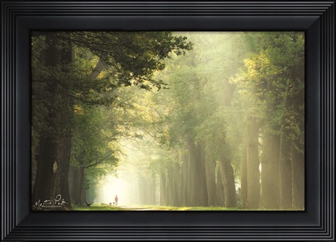 Framed Take a Walk Print