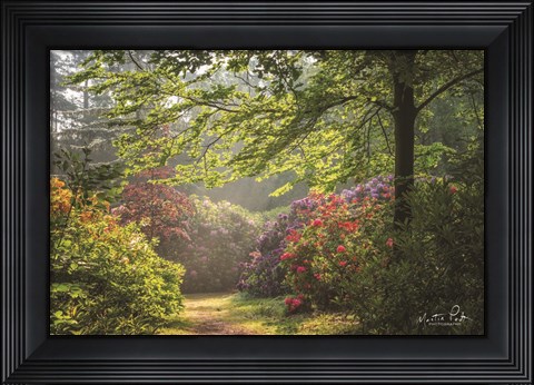 Framed Garden of Eden Print