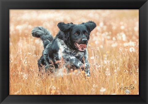 Framed Woof Print