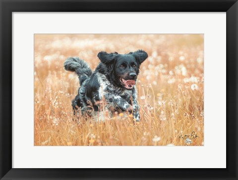 Framed Woof Print