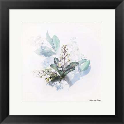 Framed Plants on Ice Print