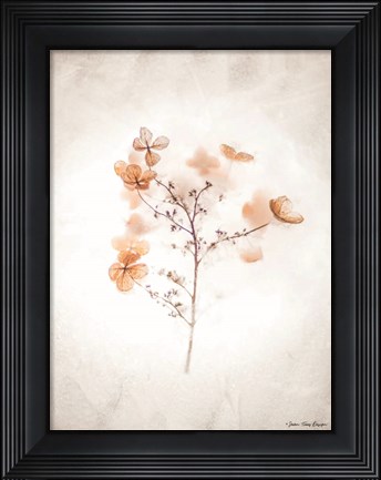 Framed Dried Flowers Print