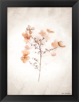 Framed Dried Flowers Print