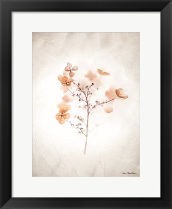 Framed Dried Flowers Print
