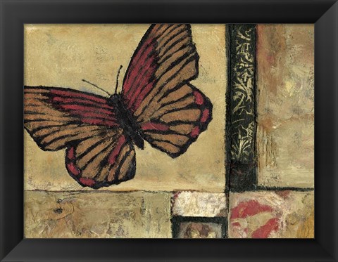 Framed Butterfly in Border I Print