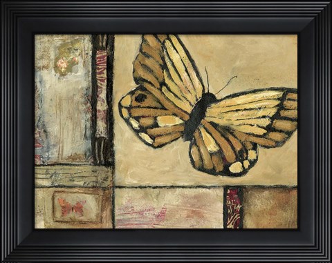 Framed Butterfly in Border II Print