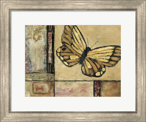 Framed Butterfly in Border II Print