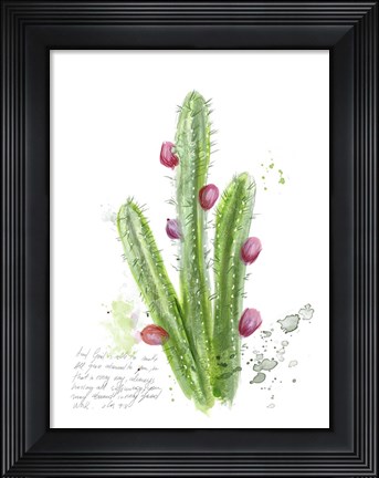 Framed Cactus Verse II Print