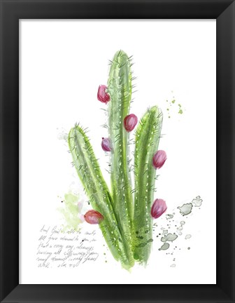 Framed Cactus Verse II Print